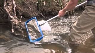 Sandy Substrate Macroinvertebrate Sampling