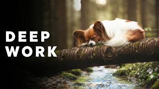 Soft Waterfall Sounds for Deep Work | Your Quiet Companion Never Leaves screenshot 5