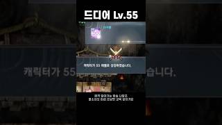 [블소네오] 구독자 선생님들 덕분입니다 #블레이드앤소울네오 #bnsneo