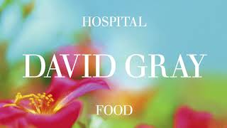 David Gray - Hospital Food - Radio Edit (Official Audio)