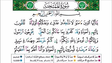 سورة الممتحنة برواية ورش عن نافع للقارئ أحمد بن قاسم باعلي و سعيد
