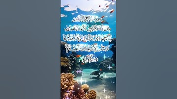 تلاوة خاشعة #سورة الكافرون#تملأ القلب بالسكينة 🌿✨#short#coran#