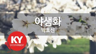 야생화 - 박효신(Wild Flower - Park Hyo Shin) (KY.59272) / KY Karaoke