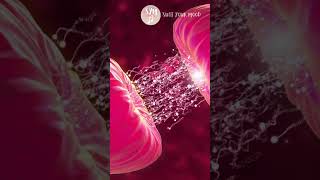 528 Hz  Complete Body Healing  Nerve U0026 Cell Regeneration  Repairs U0026 Heals On Dna Level