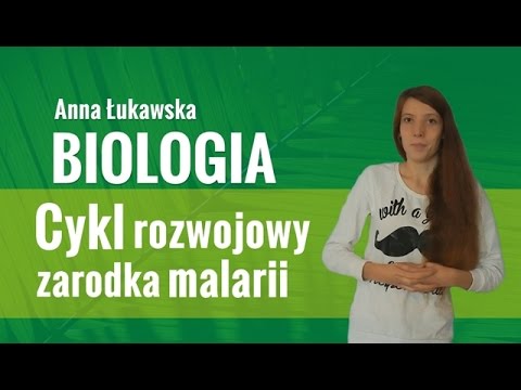 Video: Znovuobjavenie Starej ľudskej DNA