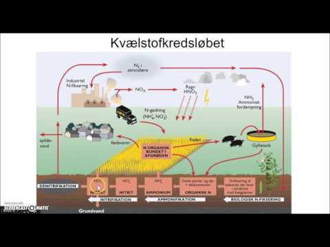 Video: Relevansen Af at Bruge In Situ Kulstof- Og Kvælstofdata Og Satellitbilleder Til Vurdering Af Kulstof- Og Kvælstoflagre Over Jorden Til Støtte For Nationale REDD + -programmer I A