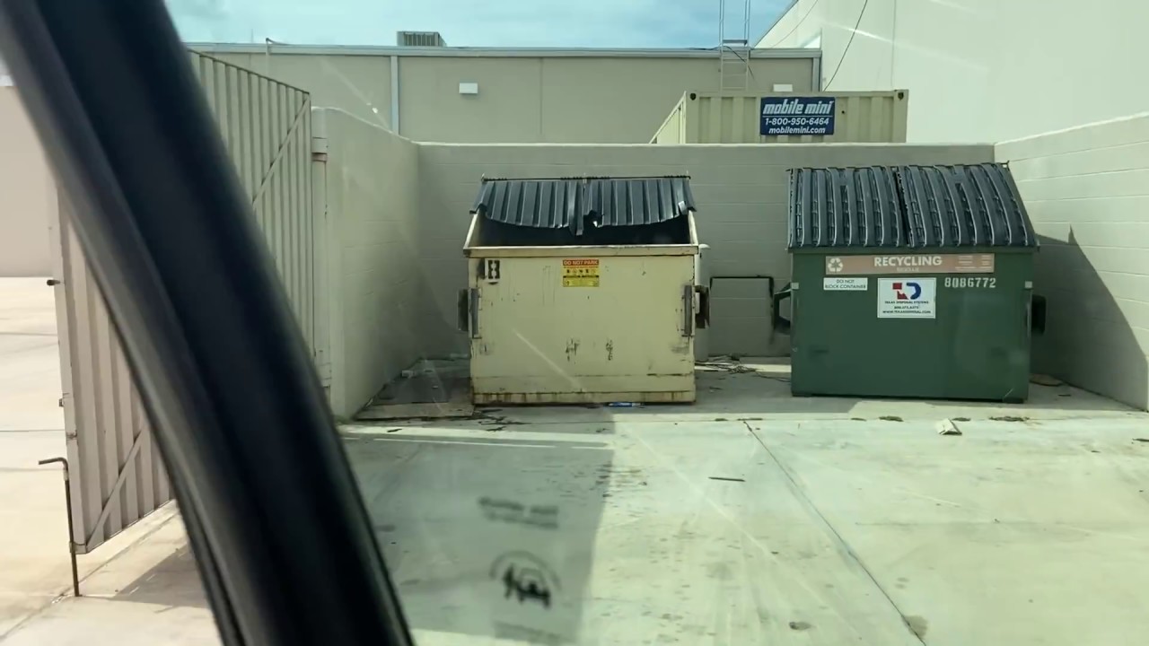 A Much Better Dumpster Dive on this Run! YouTube