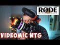 RODE VIDEOMIC NTG ON STREAM. Микрофон для стрима. Микрофон для подкаста.