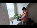 What it REALLY Takes to Run Our Famous Houseplant Live Sale