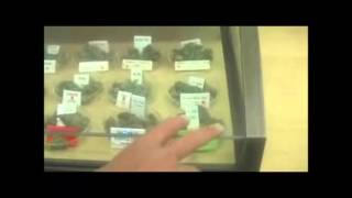 Tour of Harborside Dispensary