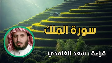 سورة الملك بقراءة الشيخ سعد الغامدي #سورة_الملك #سعد_الغامدي