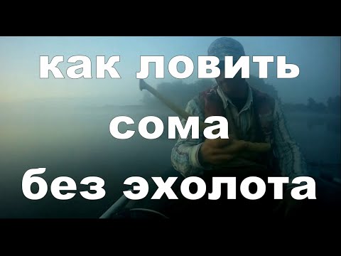 КАК ЛОВИТЬ СОМА БЕЗ ЭХОЛОТА #рыбалка #сом #квок