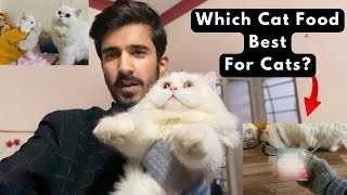 Best cat food for Persian cats | Gifts  for my cats from Chubby Meows