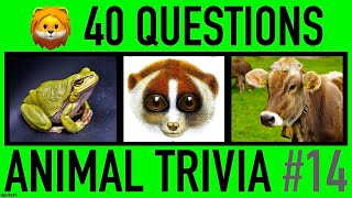 ANIMAL TRIVIA QUIZ #14 - 40 Animals Knowledge Trivia Questions and Answers | Pub Quiz
