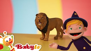 Animal Fun with Teeny & Tiny | Lion 🦁 | Guessing Games for Kids | Cartoons @BabyTV