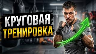 Круговая тренировка боксёра 22.10.2026