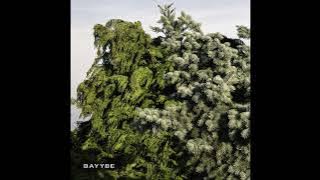 Bilo 503 - Bayybe 07
