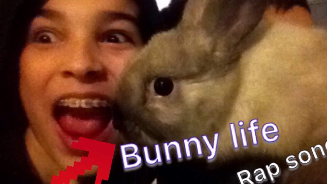 Good Rabbit The Rapper Bunny rap song - YouTube