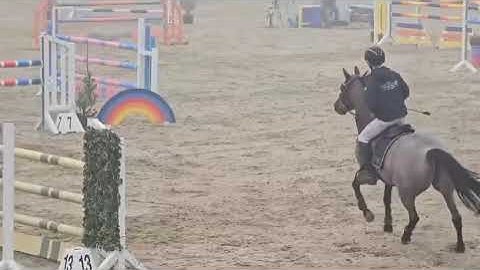 Advert reference - 386981