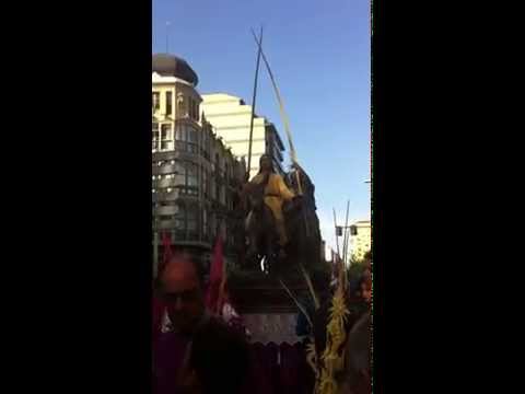 Real Cofradía de Jesús en su Entrada Triunfal en Jerusalén