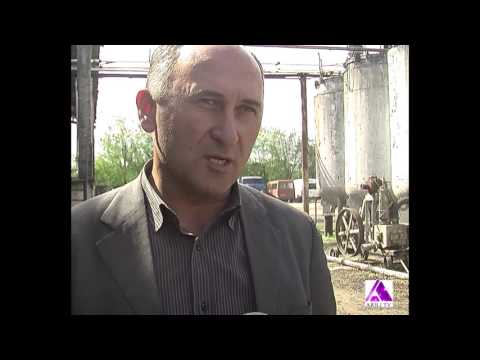 ლაგოდეხის რაიონის სოფელ ბაისუბნის ღვინის ქარხანას  ყურძნის ჩაბარება დილიდან შეწყვეტილი ჰქონდა.