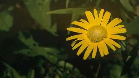 Third Image Demo   Slovenia by Malcolm Imhoff