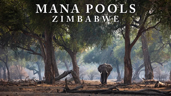 Africa's Eden: Mana Pools National Park thumbnail