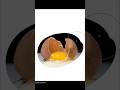 Egg digital painting #shorts #art #medibang #drawing