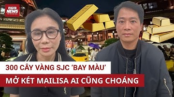 300 cây vàng SJC Vợ chồng Mailisa “phơi bày” khối tài sản khủng bị thu hồi | VTC News