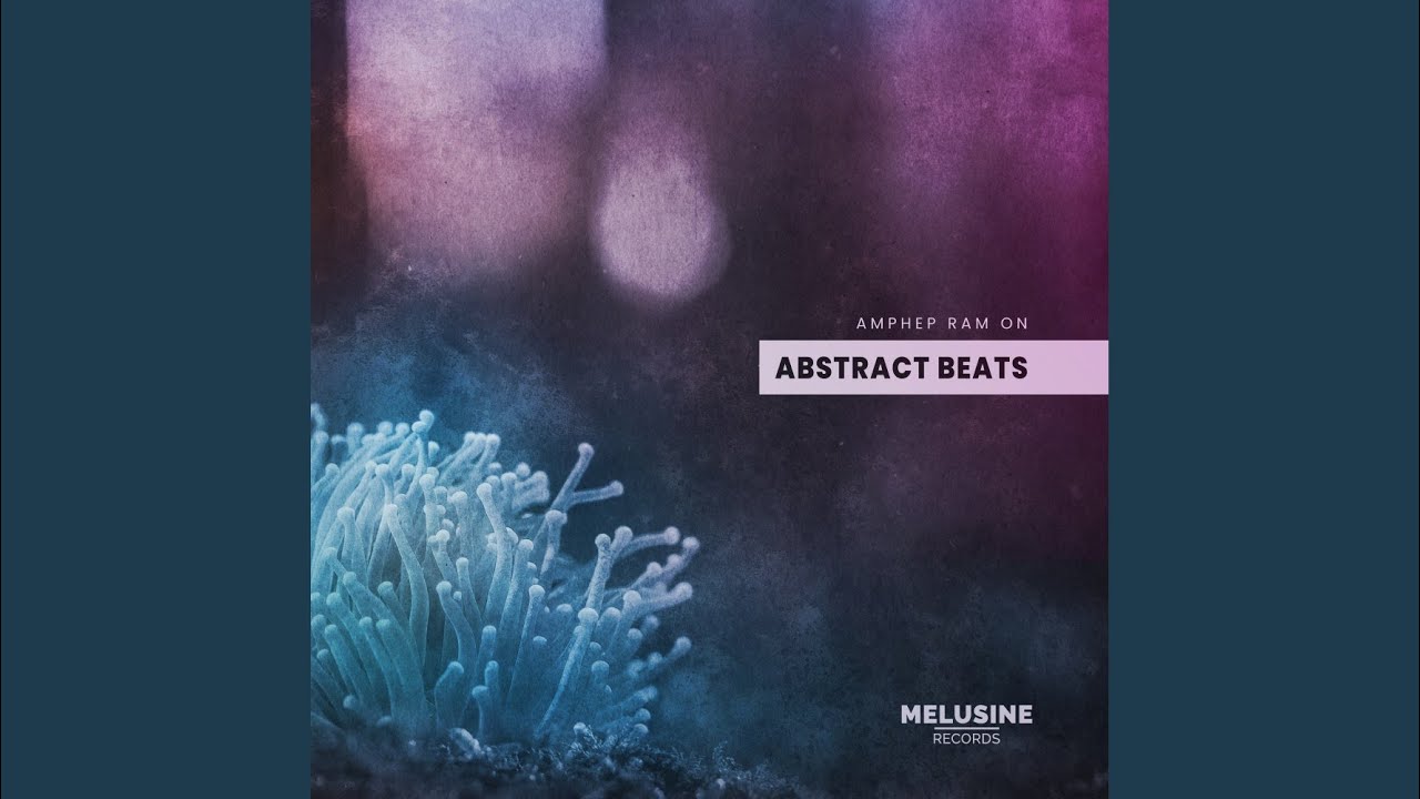 World Wide Web (Original Mix)