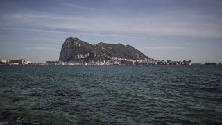 Orcas attack yacht off Spanish coast