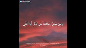 هيثم الدخين - سورة غافر || يَا قَوْمِ إِنَّمَا هَٰذِهِ الْحَيَاةُ الدُّنْيَا مَتَاعٌ