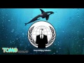 Chasse baleinière : Anonymous attaque des sites Web islandais