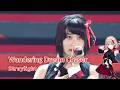 Straylight - Wandering Dream Chaser [KRSub]