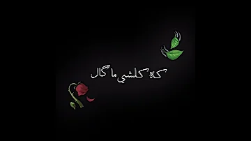 تصمیم مشترك اغاني الفنان عباس سحاگی نسه حچیه وعده 
