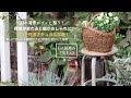【ガーデニング】庭の「背景をつくる」|○○で整えるナチュラルな庭|ヘンリーヅタ|枕木×ヘンリーヅタ|50代の庭
