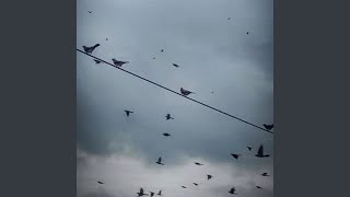 Она всегда - Son, Fire!