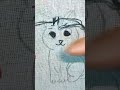 Cat 😺 Design