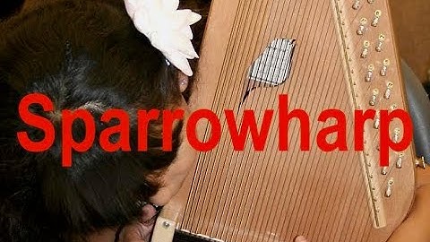 Sparrowharp demo by Evo Bluestein