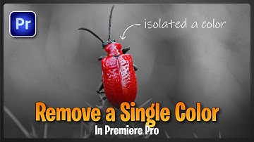 Remove a Single Color from Video in Premiere Pro | Isolate a Specific Color in Premiere Pro