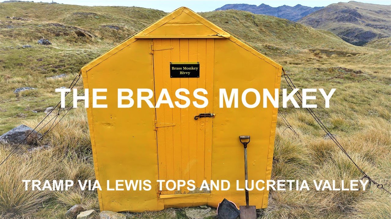 The Brass Monkey - TRAMP Via Lewis TOPS and Lucretia VALLEY