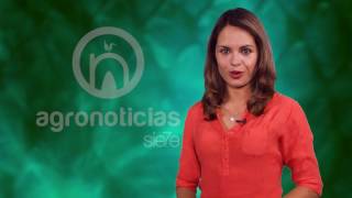 TITULARES AGRONOTICIAS sie7e PROGRAMA 11