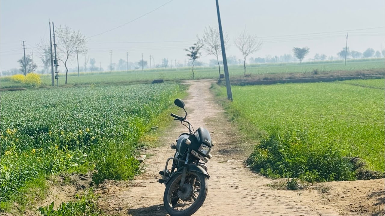 ਸਵੇਰੇ ਸਵੇਰੇ ਪਿੰਡ ਦਾ view ( ਸਕੂਨ ਵਾਲਾ ) 