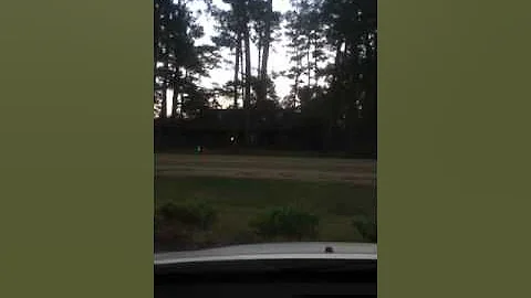 Light dance