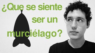 ¿Que se siente ser un murciélago? | Filosofía de la mente