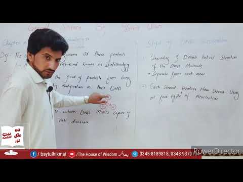 BIOTECHNOLOGY | DNA Replication | General Science Class 8th by IKRAMULLAH