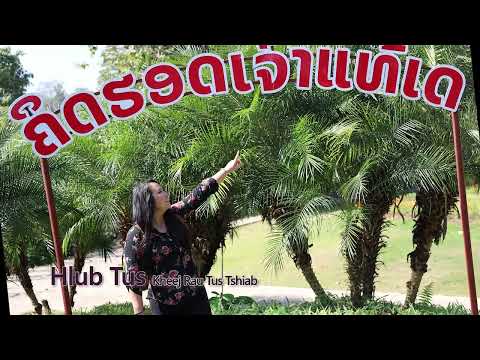 Video: 3 Txoj Hauv Kev Kom Muaj Luag Zoo