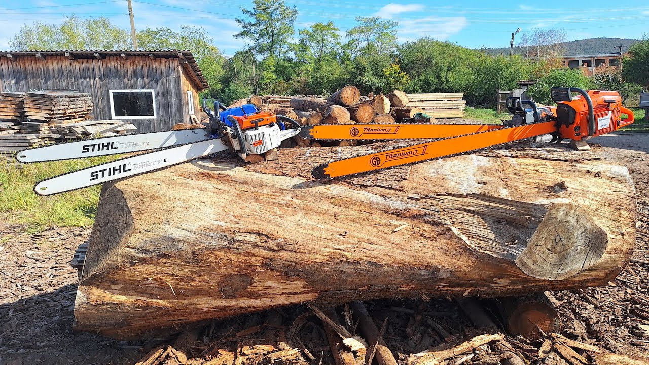 Huge Oak versus Big chainsaws (Stihl MS 880, 076, MS 651