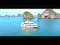 Otis Halong Luxury Cruise 1 ngày [ 5 Sao ]