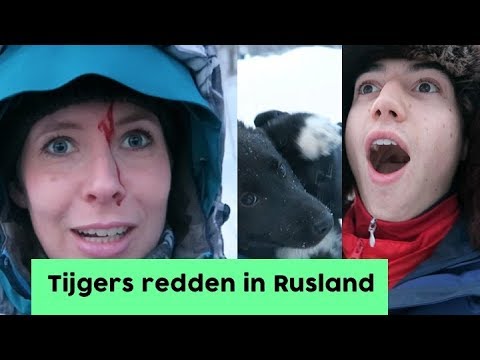 GEEN GOED IDEE... SIBERIË BACKSTAGE | niekroozen #2